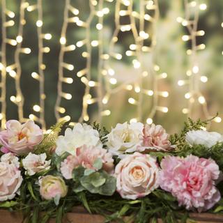 Warm White Wedding Curtain Lights