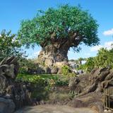 Disney's Animal Kingdom Theme Park