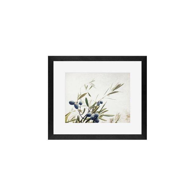 Olive Branches Paper Print by Lupen Grainne, 13 x 11", Wood Gallery, Black, Mat