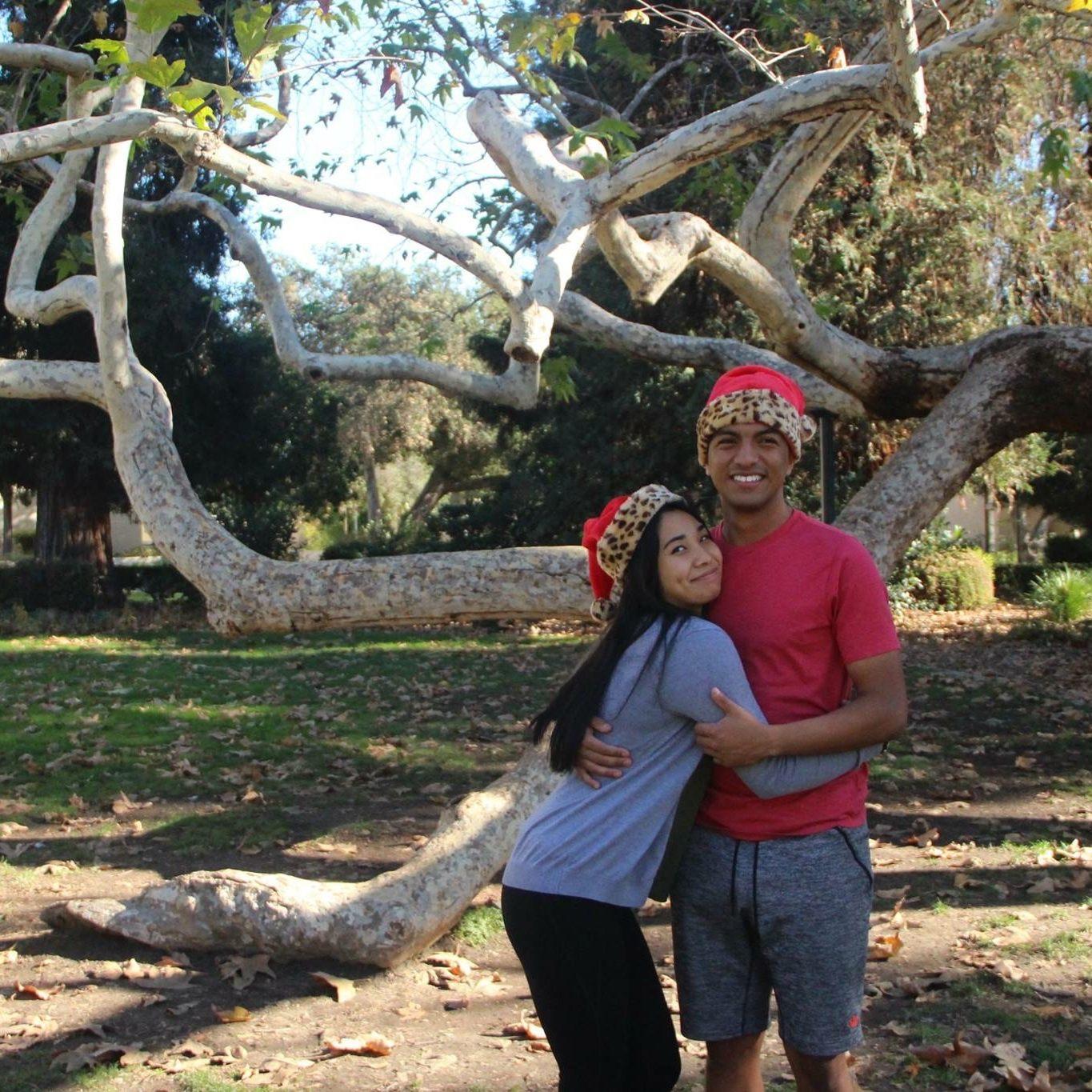 Traditional Holiday Pictures (2015)