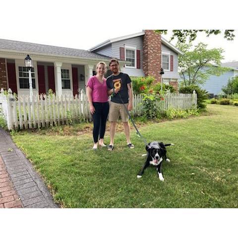 We bought our first house this year! Monster is thrilled with the yard, and we're thrilled to have more space for his zoomies.