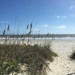 Isle of Palms Beach