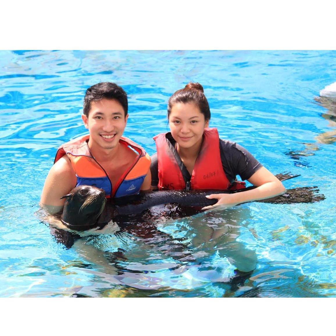 Swimming with a seal in Singapore.