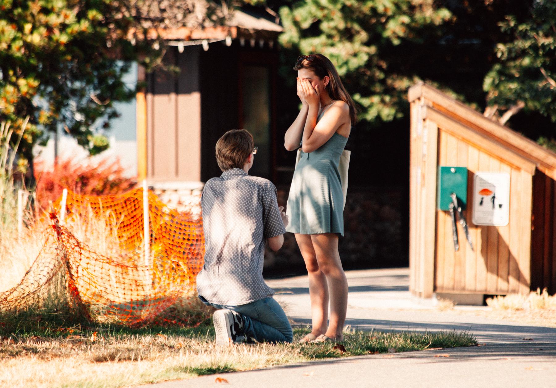 The proposal :)