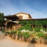 Cass Winery