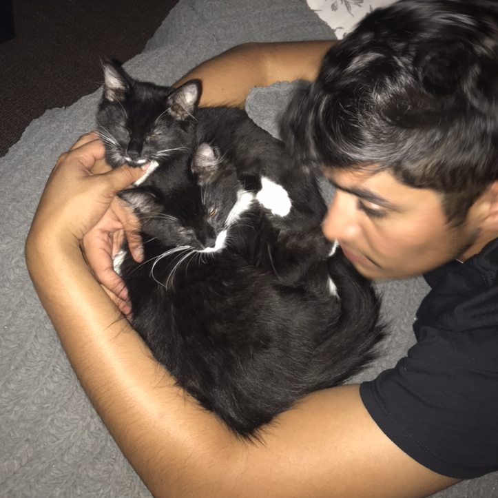 Marcelo with our cats Marty and Quinn when they were just little babes! The bond was strong from the beginning. We knew we had found the cats for us!