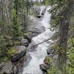 Sweathouse Creek Trail