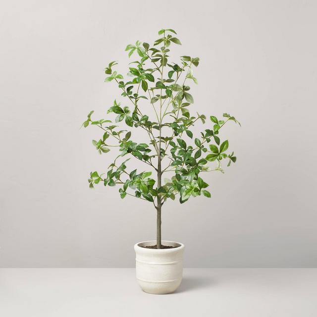 33" Faux Gypsophila Leaf Plant - Hearth & Hand™ with Magnolia