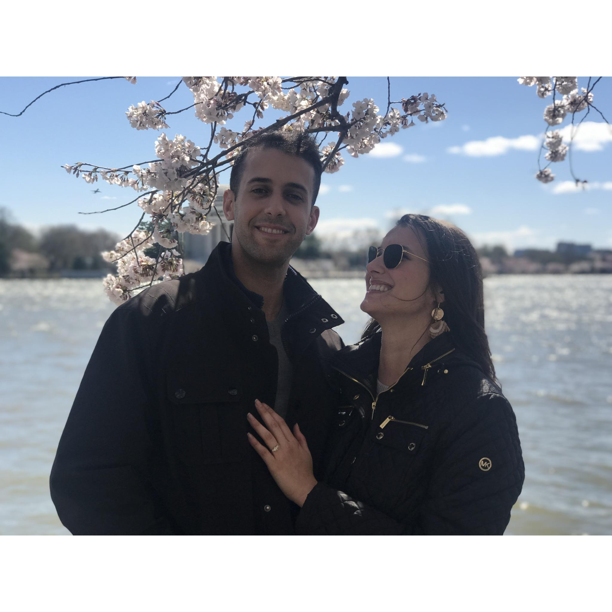 Washington DC