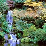 Portland Japanese Garden