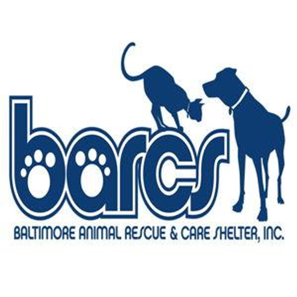 Our Favorite Charity - BARCS