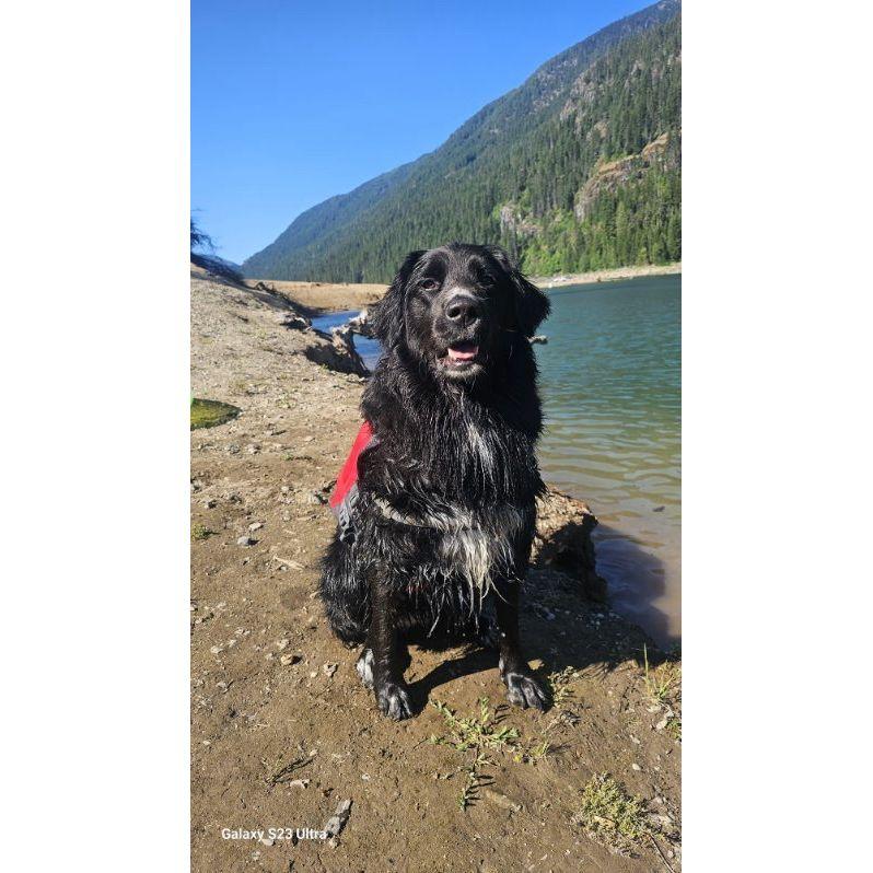 Maggie at the beach