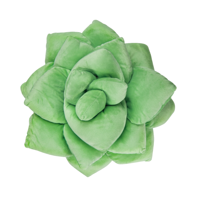 Succulent Plush Pillow - Sage Green