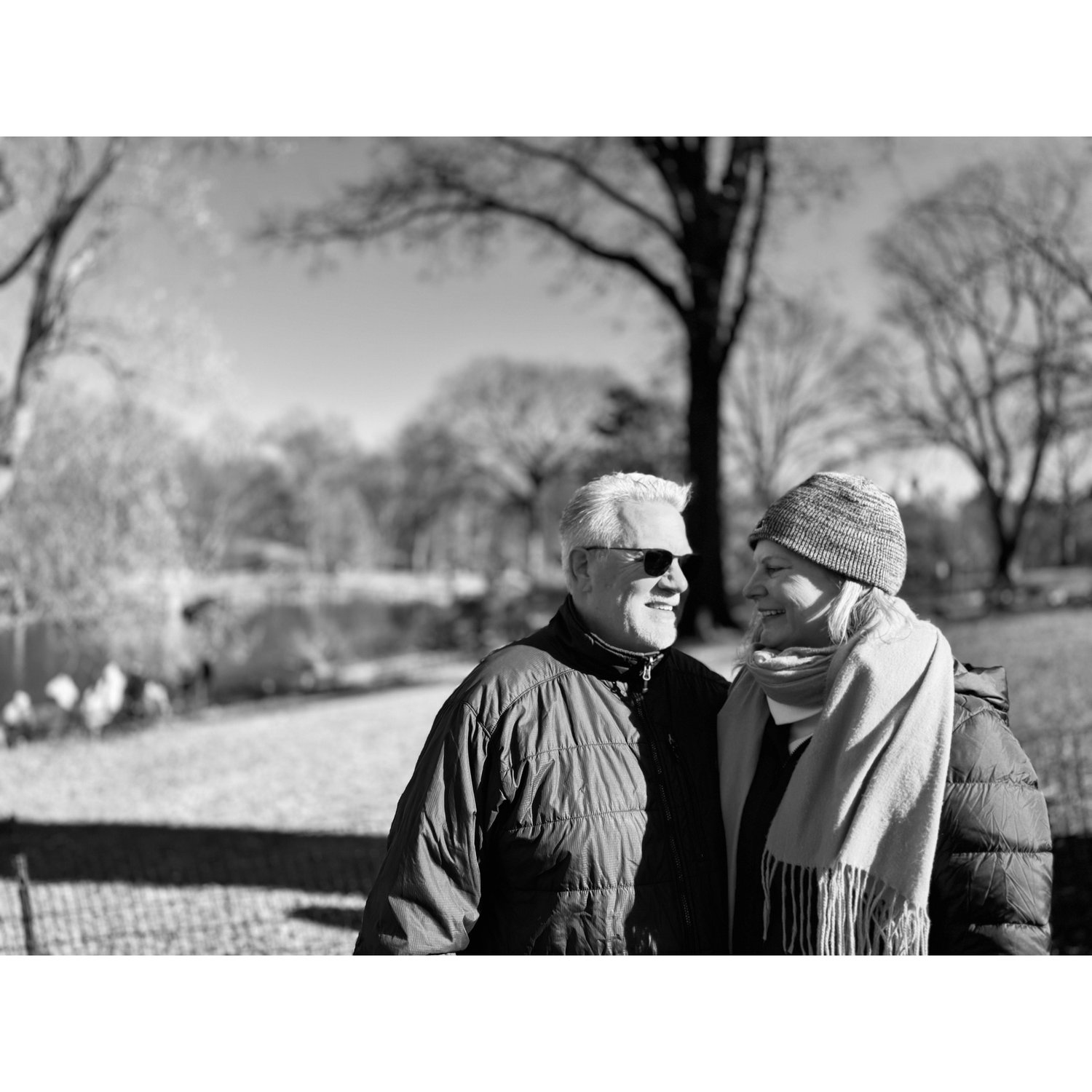 Central Park, NYC