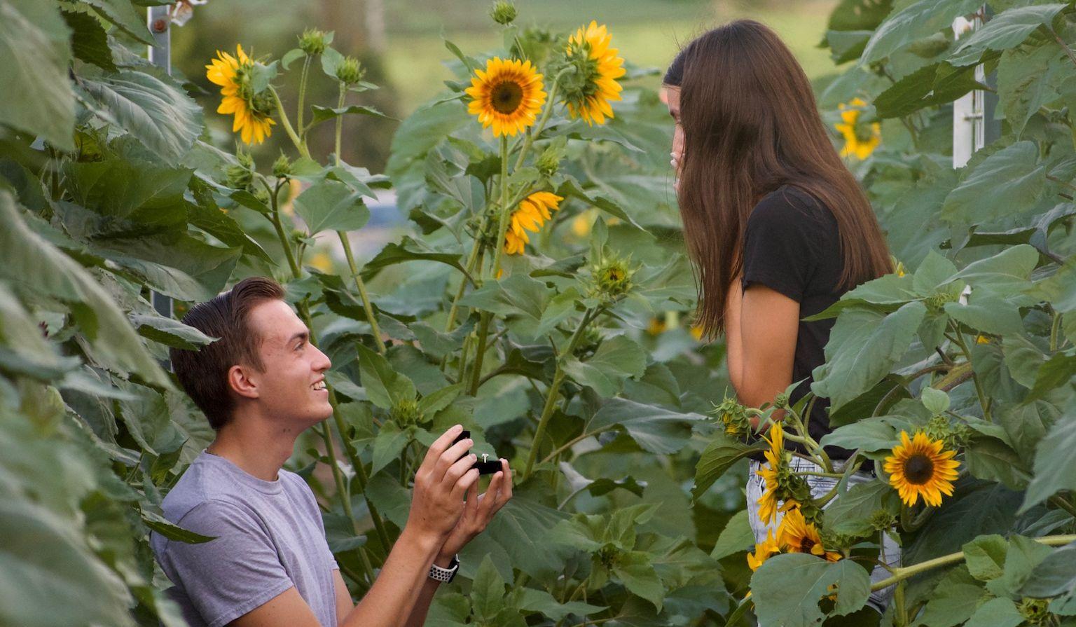 Hero Slideshow Image 0