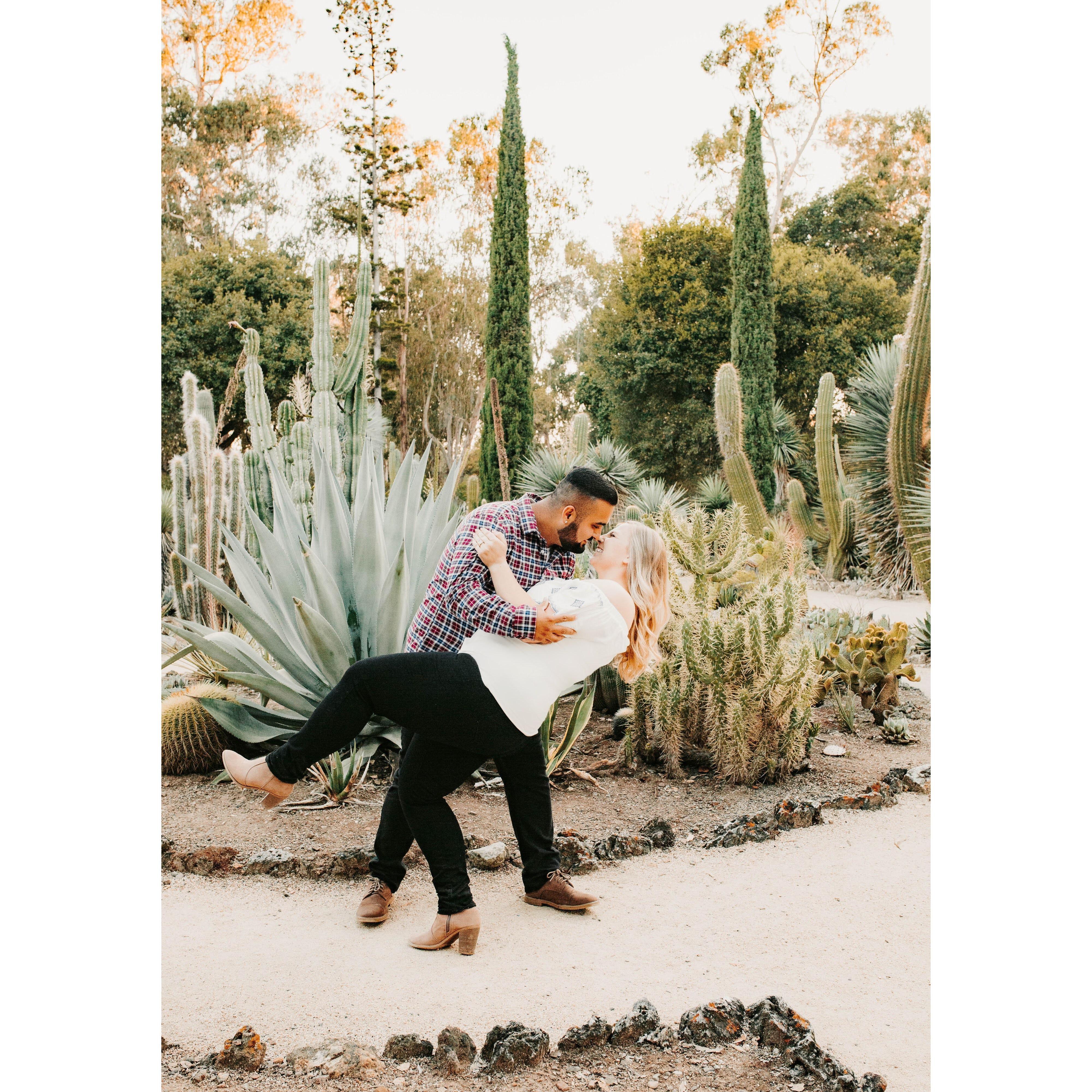 Engagement photos were a blast. Here they are dancing around in the Palo Alto Cactus Garden.