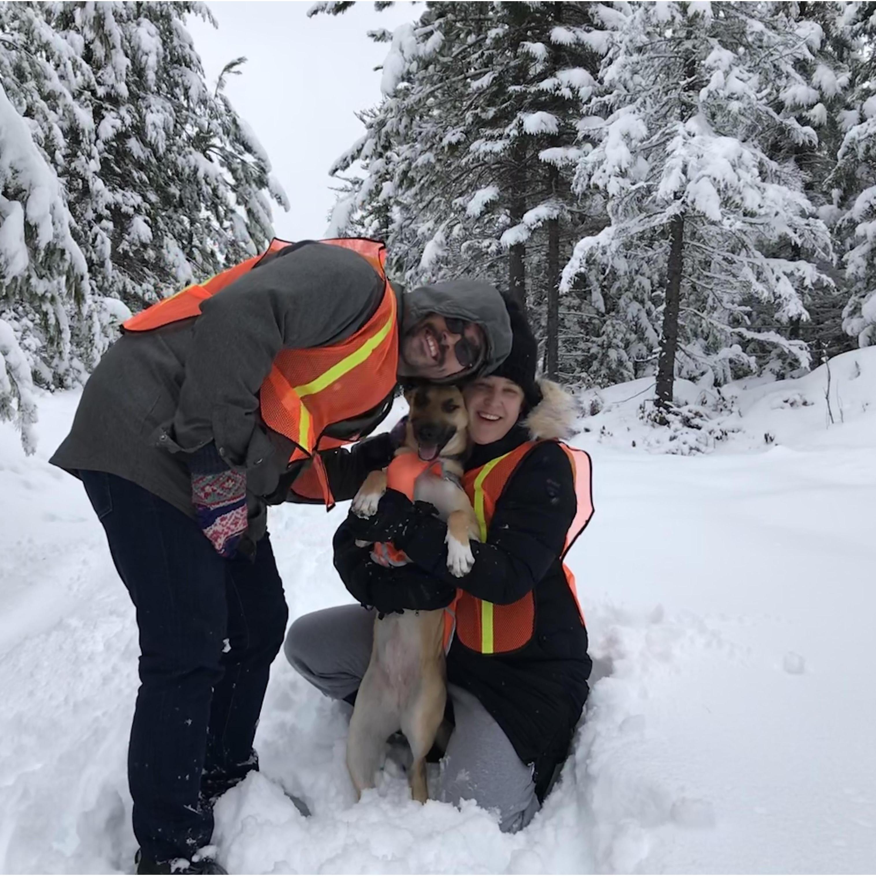A snowy wilderness trek in Maine with our dog Honey in November of 2019, who was newly adopted at the time.