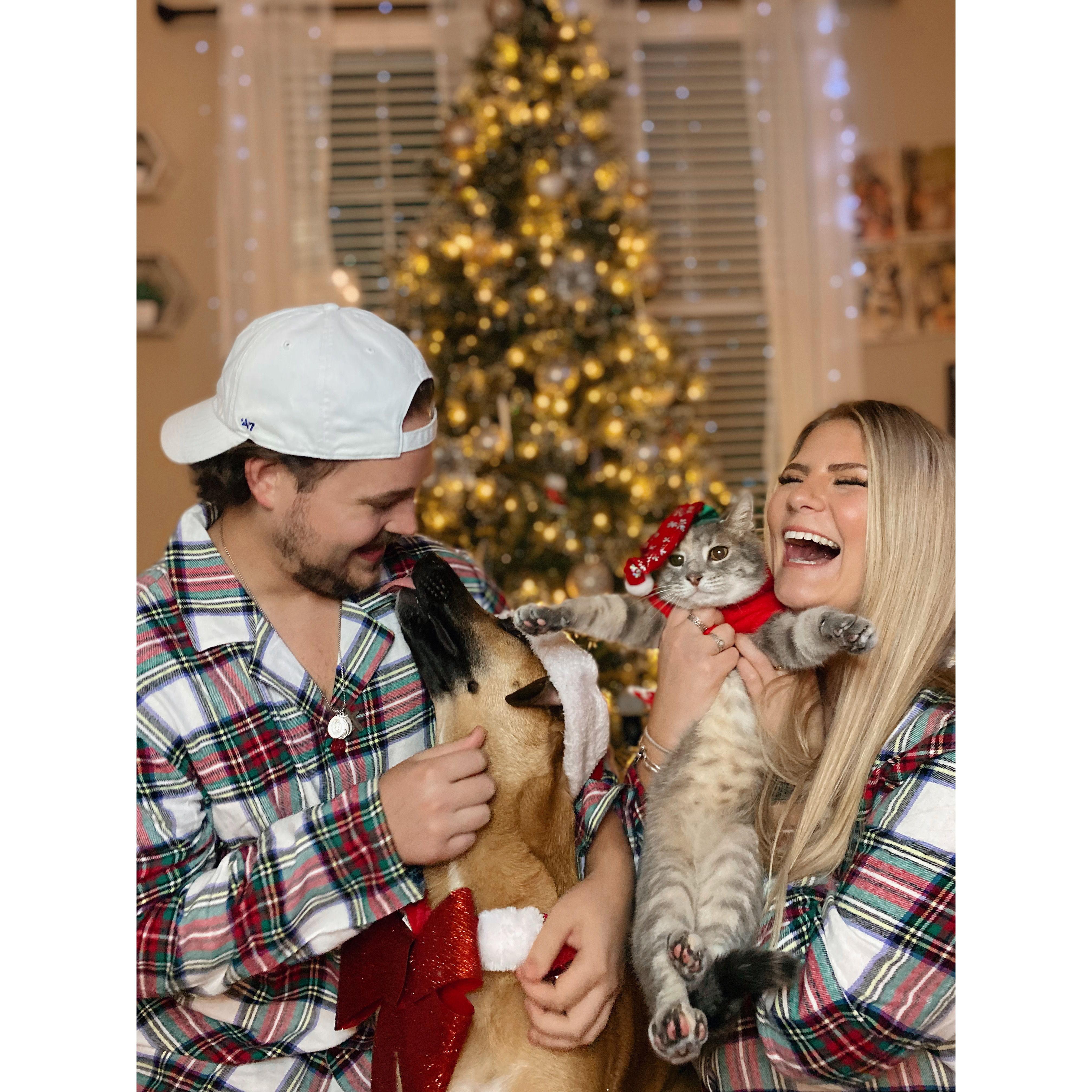 Annual holiday family photos!