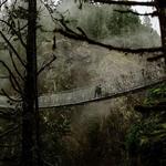 Elk Falls Suspension Bridge