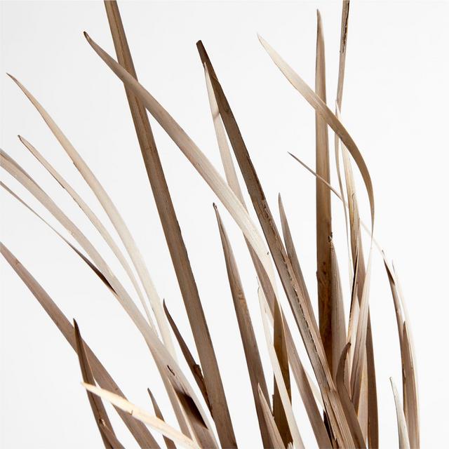 Courtney Decorative Dried Grass Bundle 42" by Leanne Ford