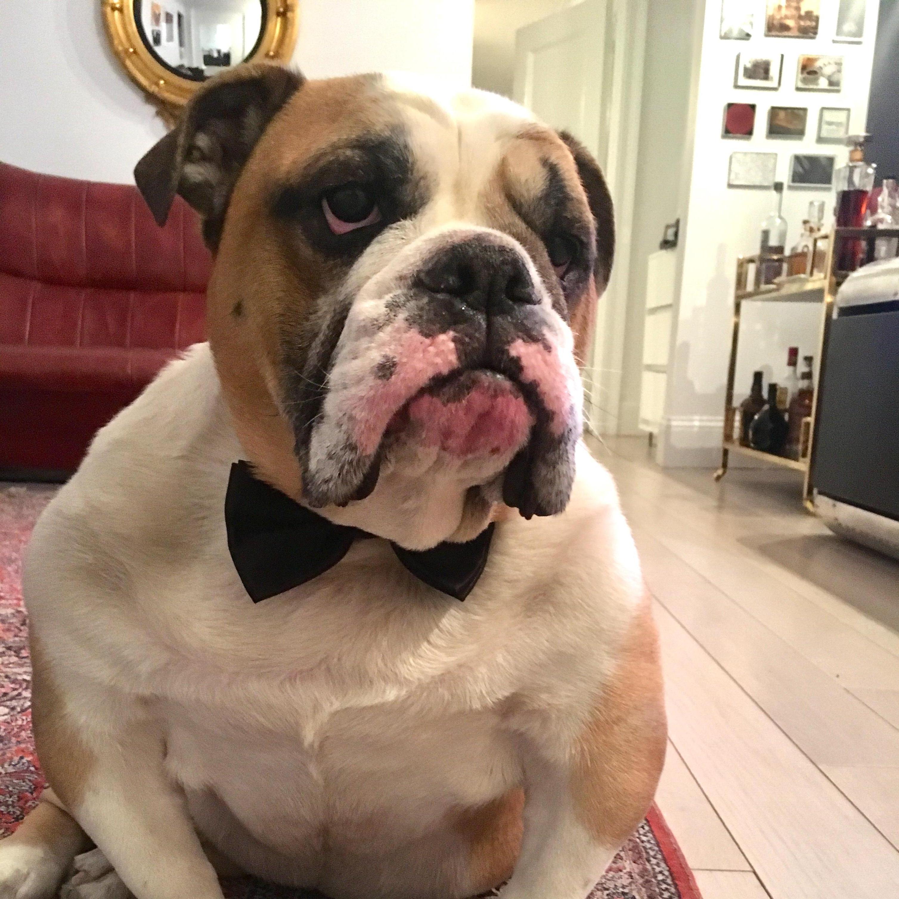 The Royal Bubba