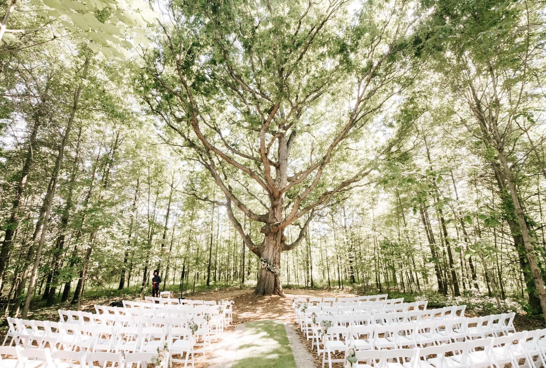 The Wedding Website of Lainey Alexander and Nick Celona