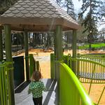 Shute Park