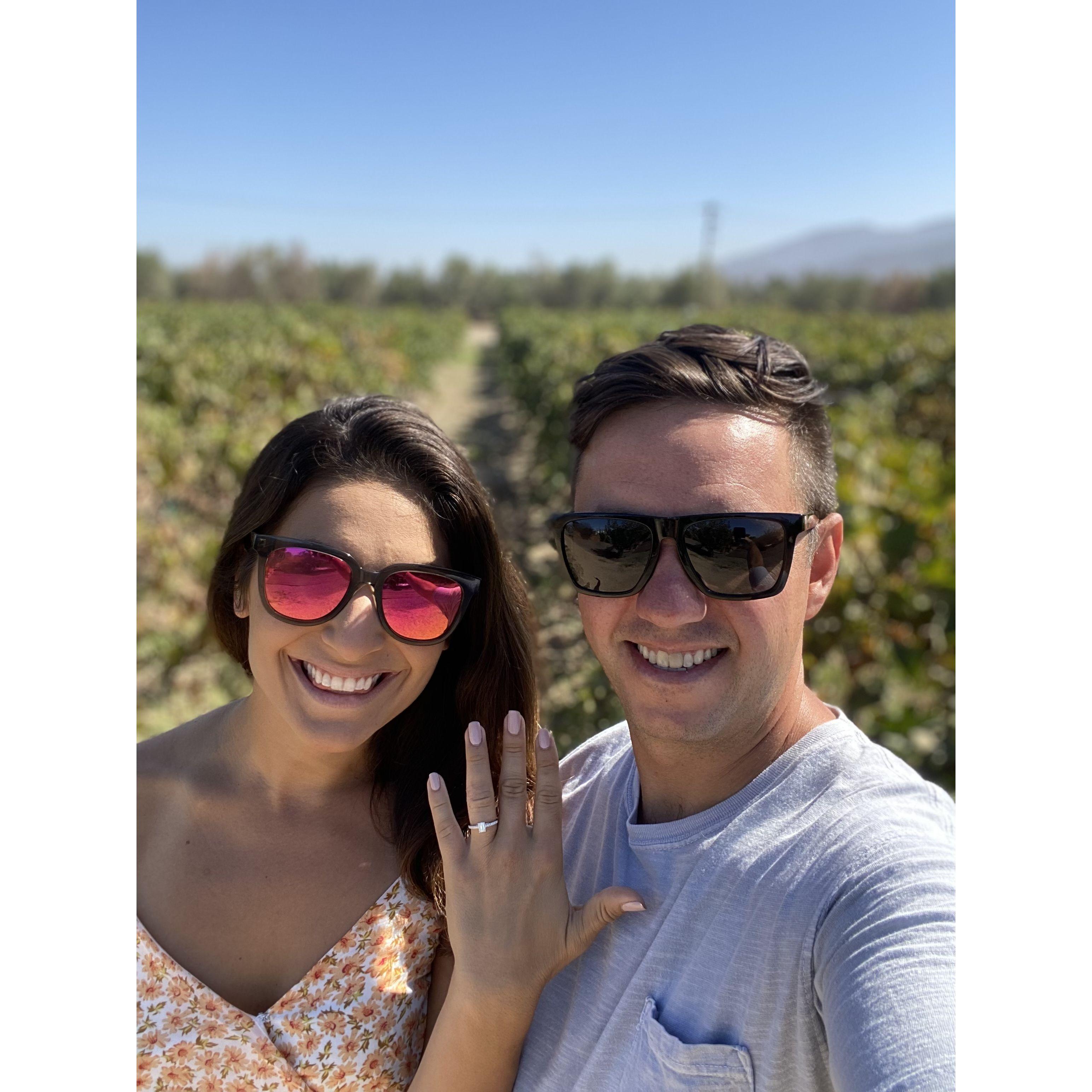 I said yes! Valle de Guadalupe, MX