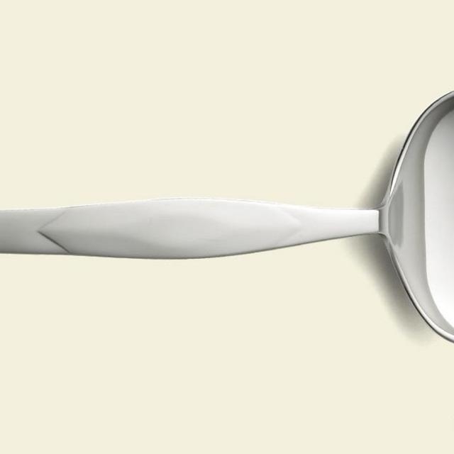 Stainless Gravy Ladle