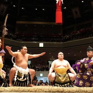Sumo Wrestling Match