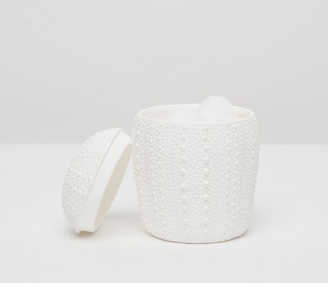 Sea Urchin Canister