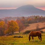 Buffalo Mountain Trail