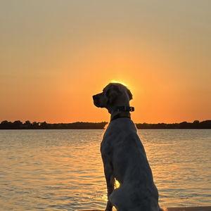 Vacation for Bonny