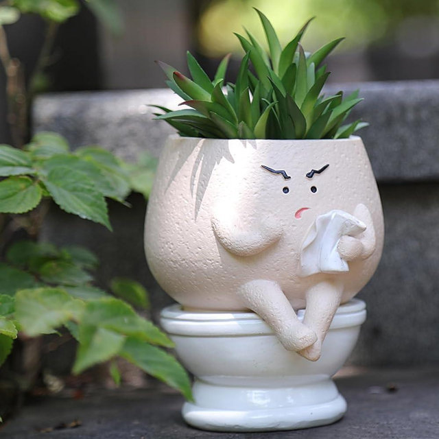 NINIPAPA Funny Face Toilet Planter with Drainage Hole for Indoor Plants, Cute Self Watering Plant Pot for Succulent Flower Pots, Unique Head Planters Gift on Birthday Christmas