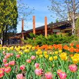 Reiman Gardens