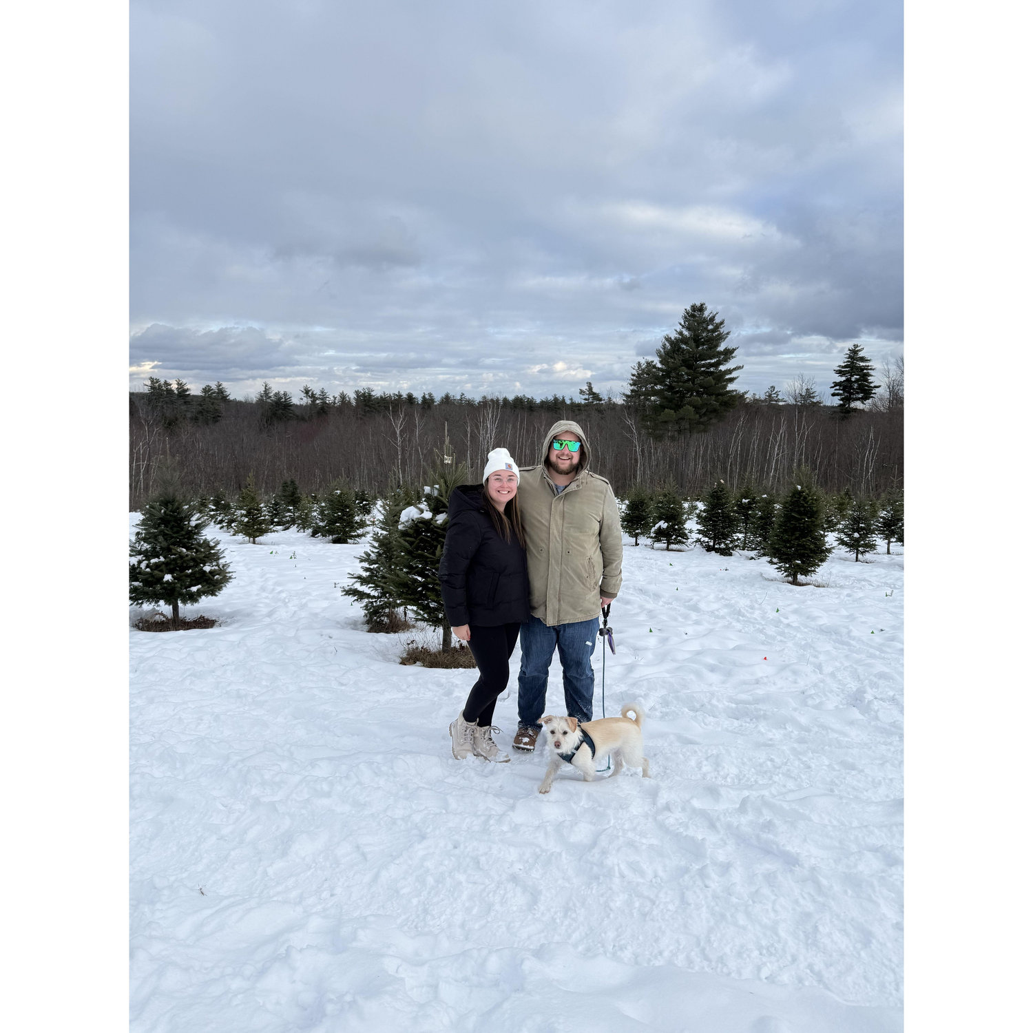 Picking out our first Christmas tree for our house 2024