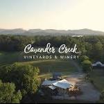 Cavender Creek Vineyards