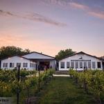 Grace Hill Winery