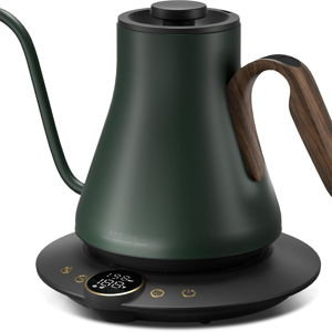 INTASTING Gooseneck Electric Kettle (Forest Green)