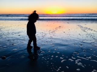 The Wedding Website of Tariq Shaheed and Javay Ross