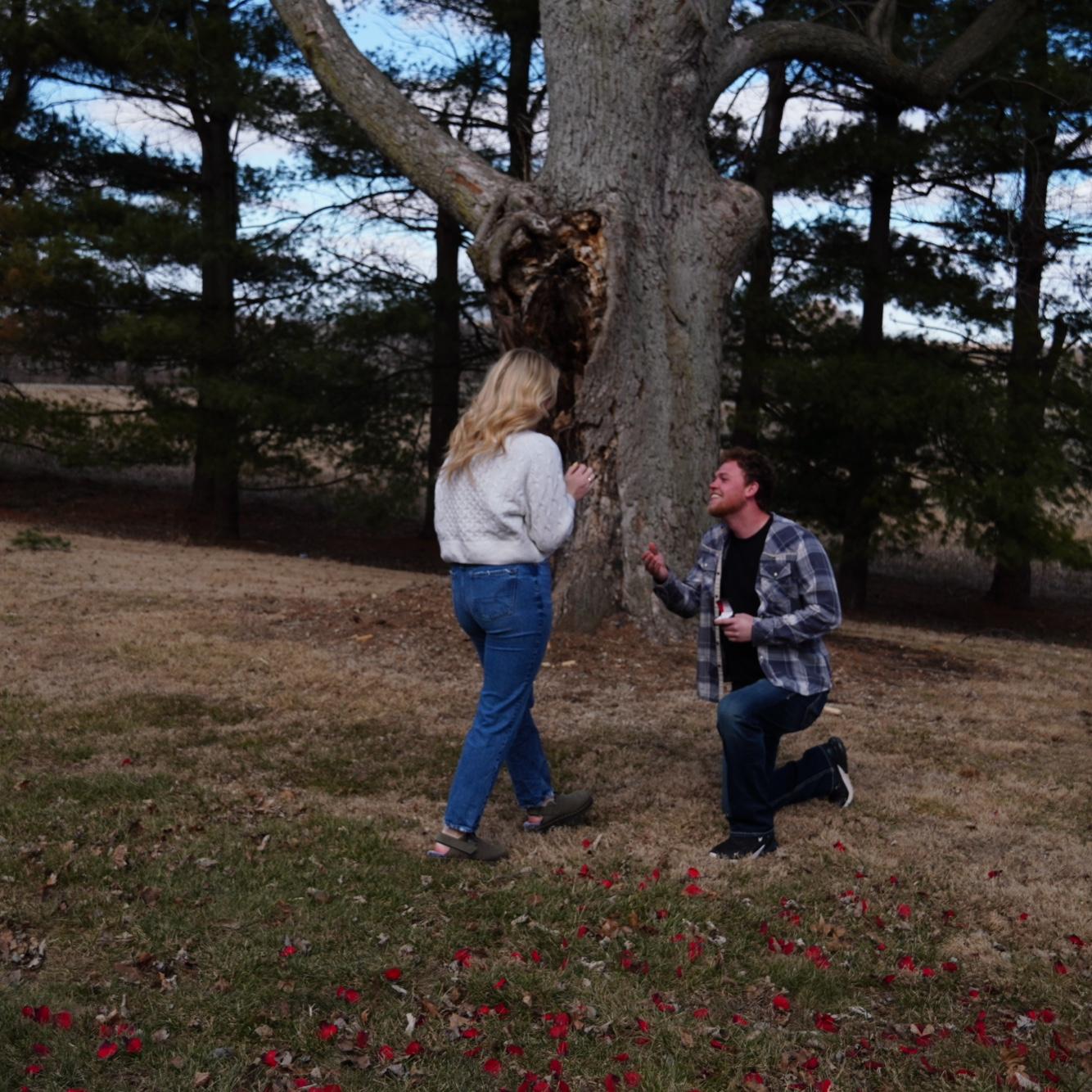 The proposal!