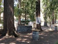 Nelson Family Vineyards