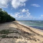 Reef Bay Trail