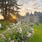 Domaine de Chaumont-sur-Loire