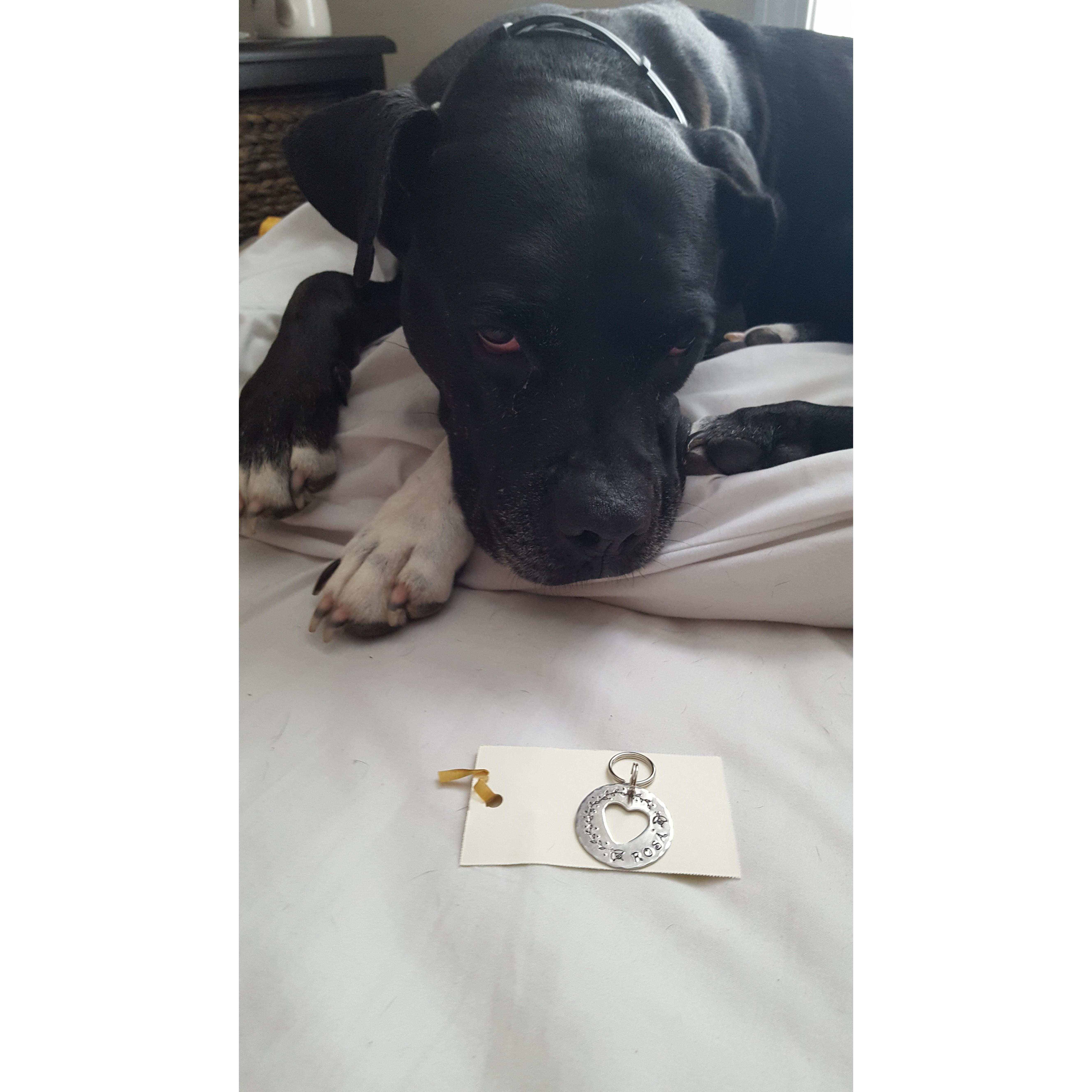 It's official! Rosa has a tag