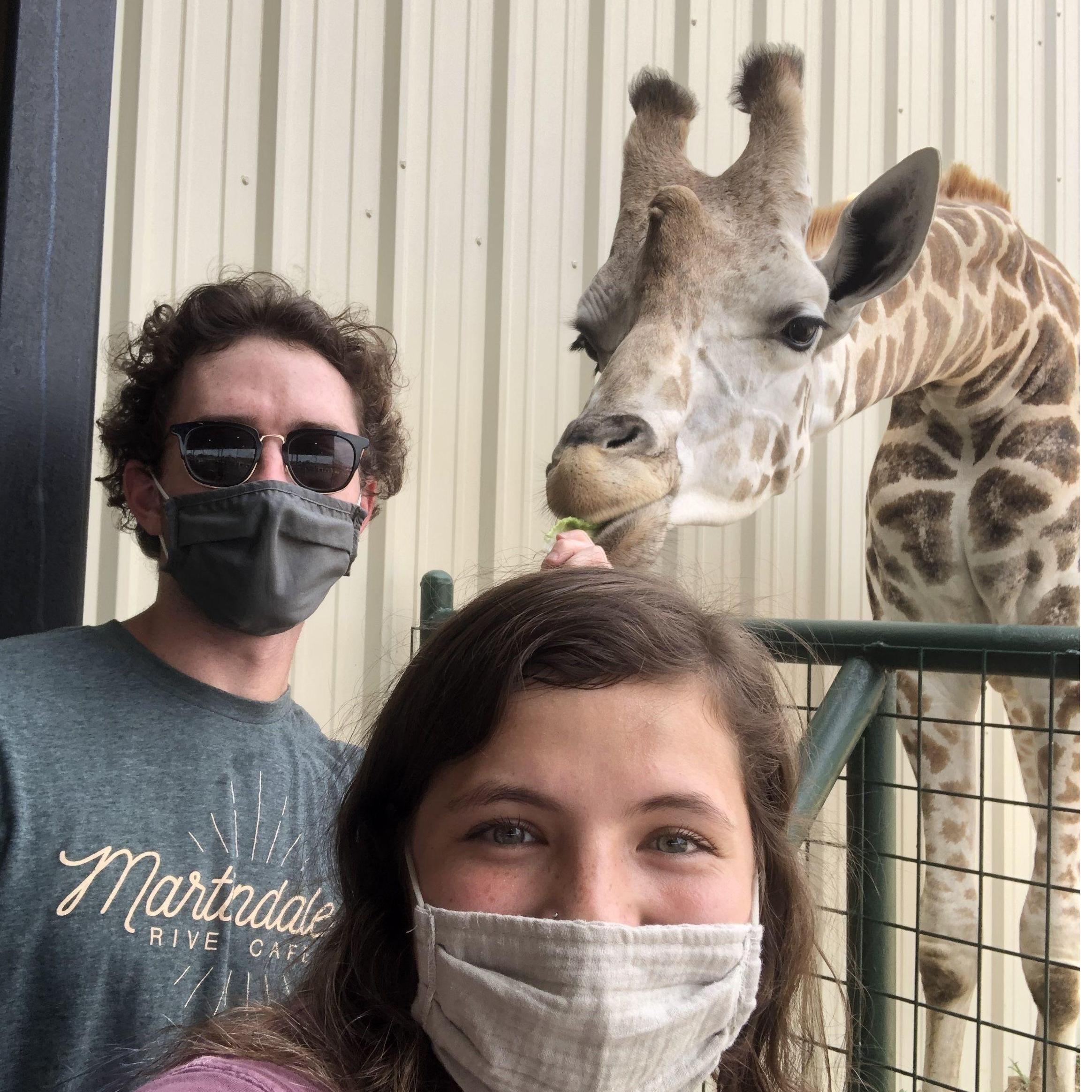 Drive Thru Safari 2020