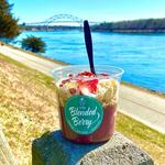 The Blended Berry