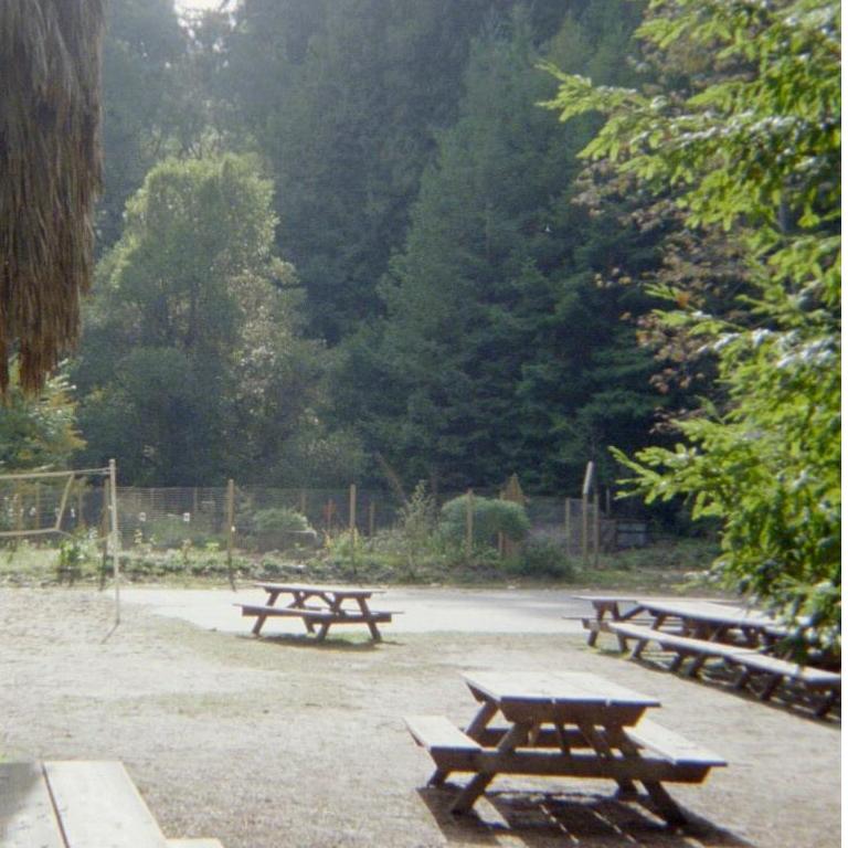 Camp Hope- where we ate our lunches together!