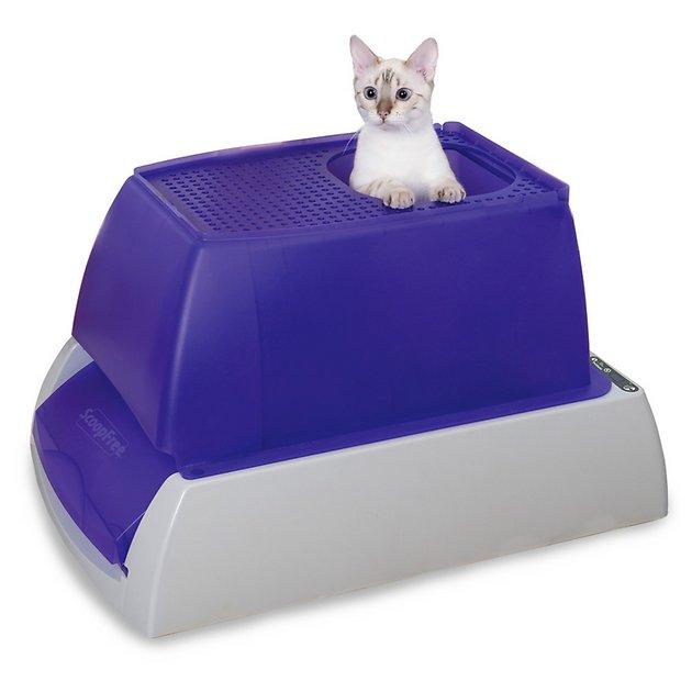SCOOPFREE Top-Entry Ultra Automatic Cat Litter Box - Chewy.com