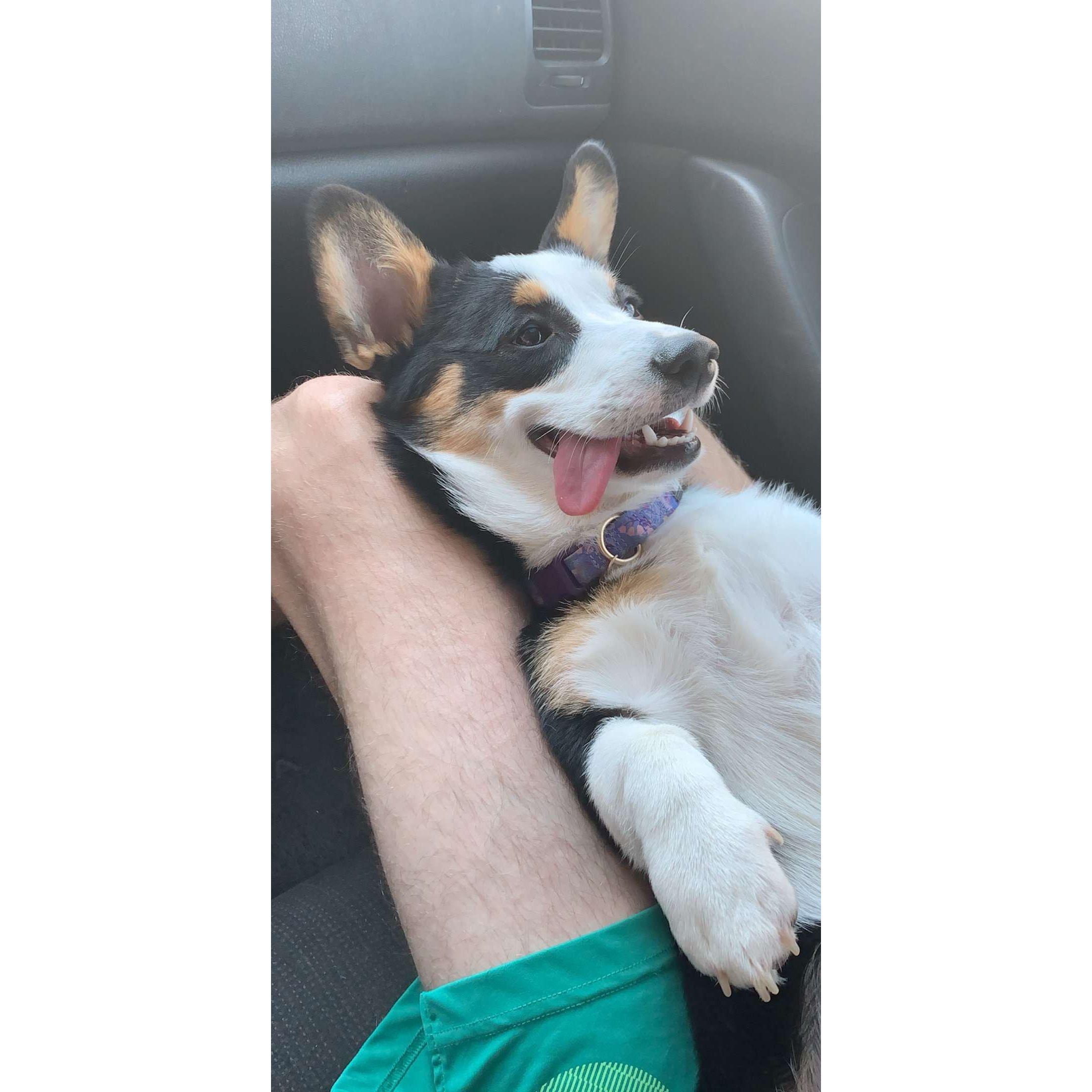 Too much time in the car between Corbin and Louisville